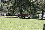 _MG_0002.JPG