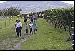 _MG_0007.JPG