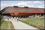 _MG_0013.JPG