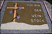 _MG_0139.JPG