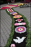 IMG_7627.JPG