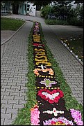 IMG_7640.JPG