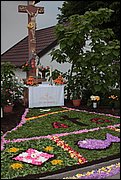 IMG_7645.JPG