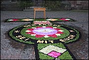 IMG_7648.JPG