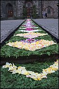 IMG_7653.JPG