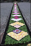 IMG_7655.JPG
