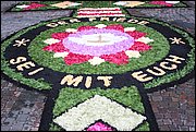 IMG_7658.JPG