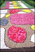 IMG_7671.JPG